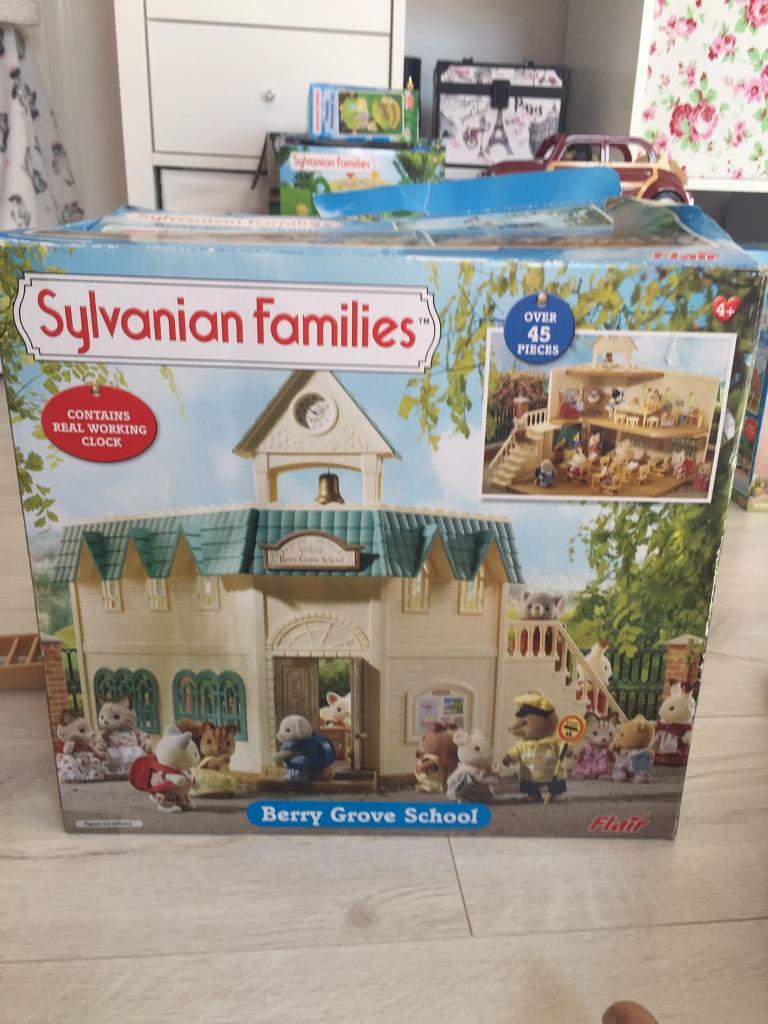 sylvanian berry grove school